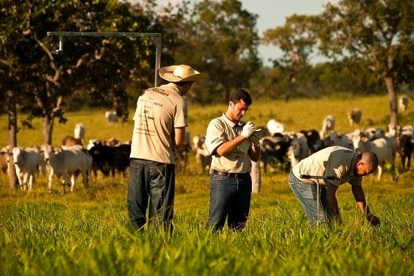 Maior expedição técnica privada sobre a bovinocultura no País, A edição 2018 do Rally da Pecuária vai a campo avaliar as estratégias dos produtores para enfrentar a alta de custos operacionais da atividade. Foto: divulgação