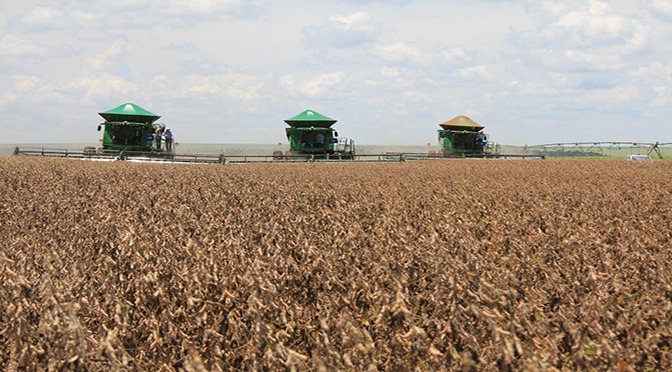 As exportações de soja de Mato Grosso do Sul cresceram mais de 85% no início deste ano. Foto: Semagro