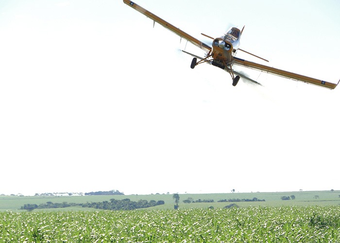 Avião agrícola realizando aplicação de micoinseticida em lavoura de cana-de-açúcar - Foto: Roberto Teixeira Alves