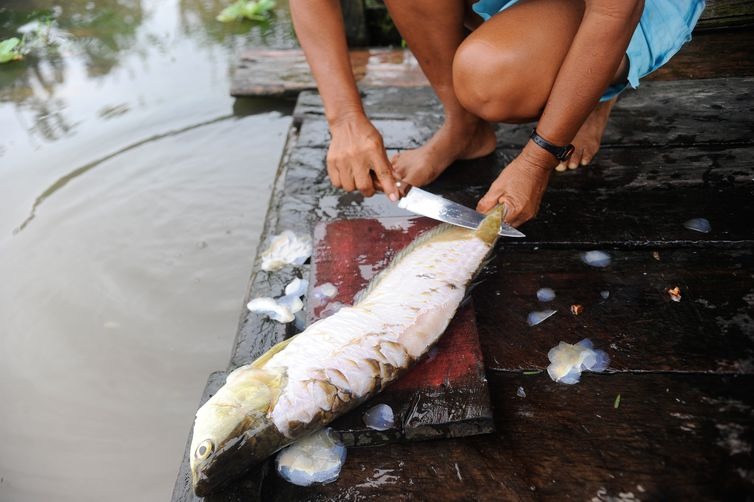 Pelos rios próximos à capital amazonense é comum encontrar pescadores nas portas das casas (Tomaz Silva/Agência Brasil) - 04 16:25:17