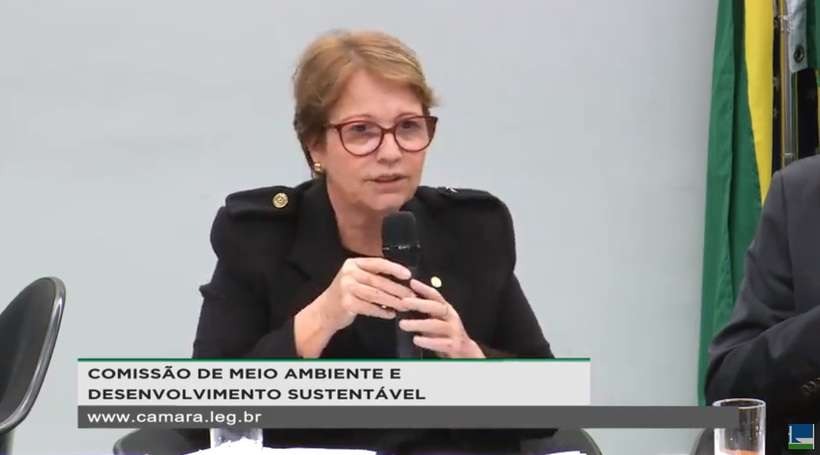 Ministra diz que ''brasileiro não passa fome porque tem manga'