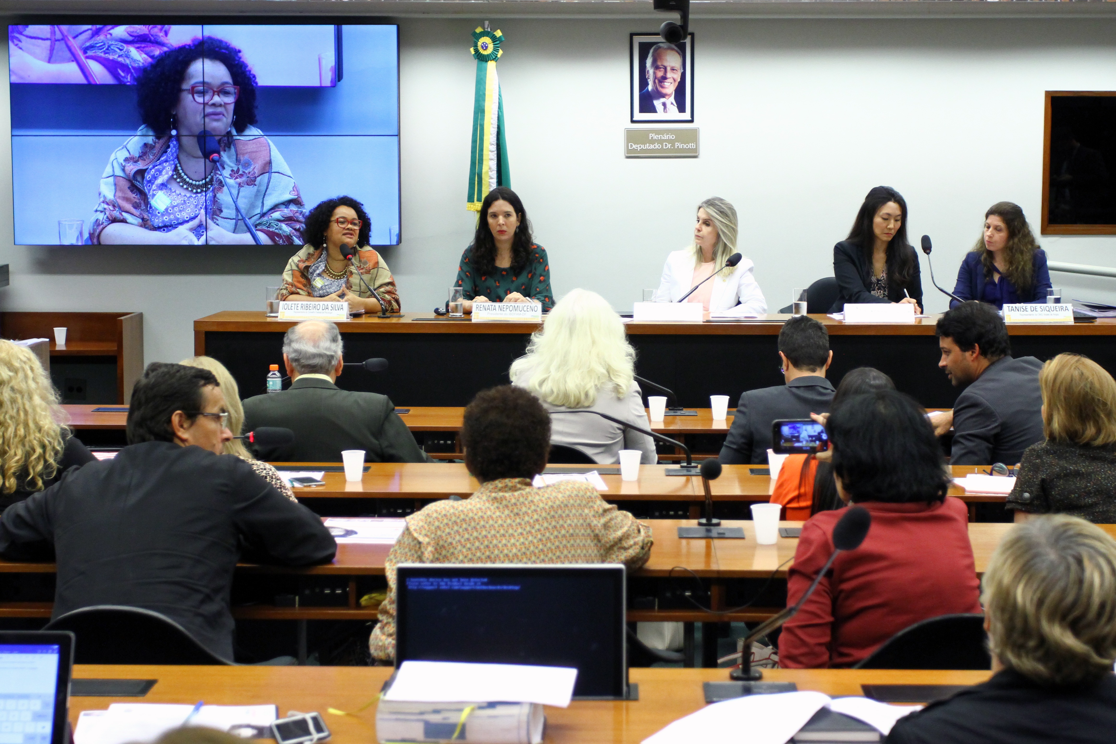 Vinicius Loures/Câmara dos Deputados / Audiência pública para debater a Alienação ParentalAlienação parental está sendo relacionada ao abuso sexual de menores