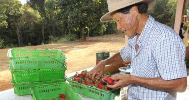 Reforma da Previdência propõe mudanças na aposentadoria rural - Valter Campanato/Agência Brasil