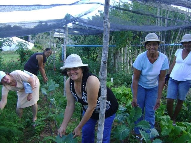 Maria Luzinete lidera associação de mulheres que produzem alimentos de forma agroecológica (Foto: Arquivo pessoal)