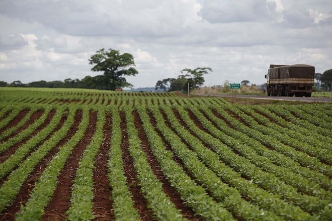 Agricultura tem avançado cada vez mais na região pantaneira