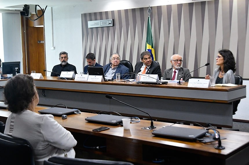 A professora Gabriela Tenório fala em audiência presidida por Hélio José (4º à esq.)Agência Senado