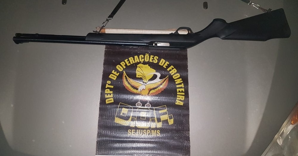 Rifle calibre 22 apreendido pelo DOF em MS — Foto: DOF / Divulgação