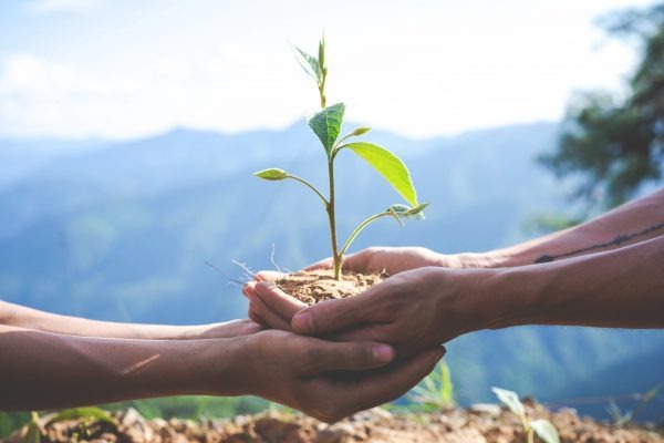 As práticas ESG privilegiam, além do retorno financeiro, os impactos positivos para a sociedade e o meio ambiente. Foto: FreePik