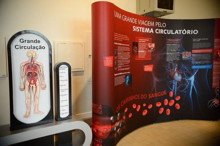 Estudo Augustus define novos caminhos para o tratamento de infarto em pacientes que têm fibrilação atrial - Tomaz Silva/Agência Brasil