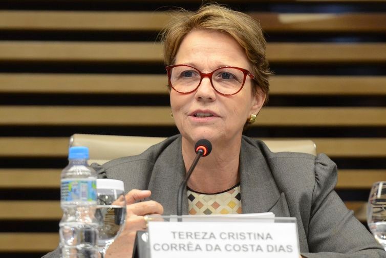 A ministra da Agricultura, Pecuária e Abastecimento, Tereza Cristina - Rovena Rosa/Agência Brasil