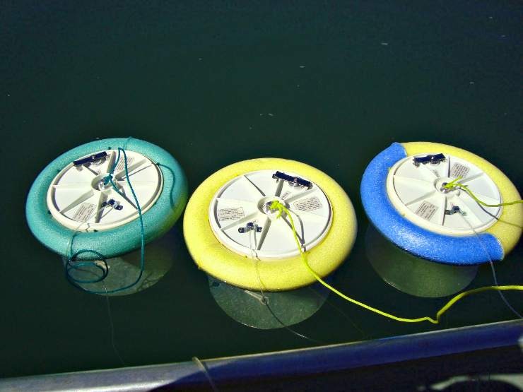 As câmaras estáticas são equipamentos utilizados para a coleta de GEE produzidos na água - Foto: Divulgação