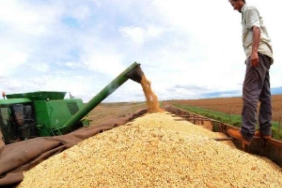 Segundo a Conab, produção de grãos deve ficar em  227,9 milhões de toneladasArquivo/Agência Brasil