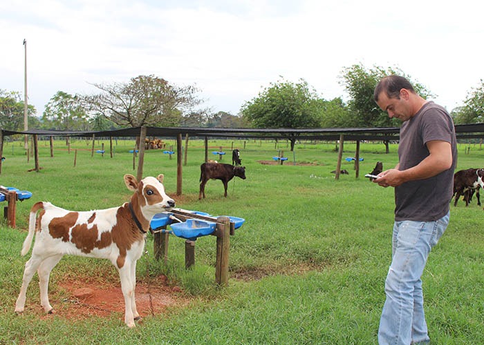 Para Rodrigo Ferreira a nova versão do aplicativo facilitou o dia a dia na fazenda. - Foto: Gisele Rosso