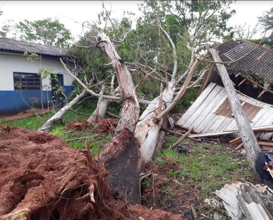 Escola na Aldeia Sassoró atingida por eucalipto foi parcialmente destruídafoto  - A Gazetanews 