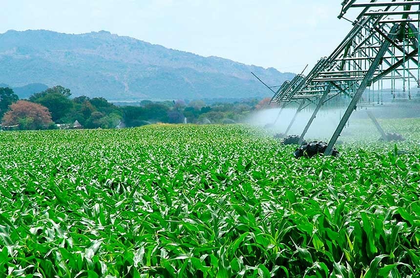 Período de desconto na energia usada em irrigação pode ser ampliado nos fins de semana e feriadosSecretaria de Agricultura, Pecuária e Abastecimento/SEAPA