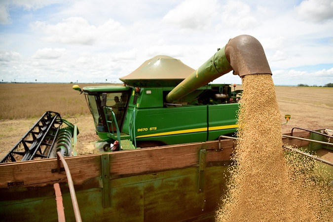 Colheita da soja atinge 75% e plantio do milho também avança em MS