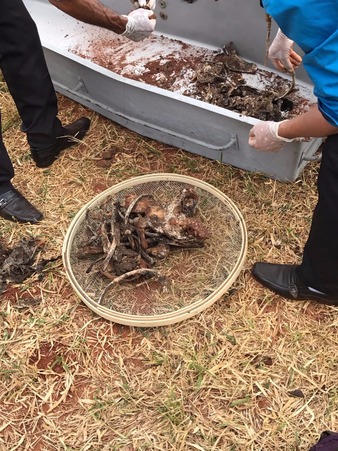 Corpos de índios são encontrados enterrados em fazenda de Iguatemi, MS (Foto: Polícia Civil/Divulgação)