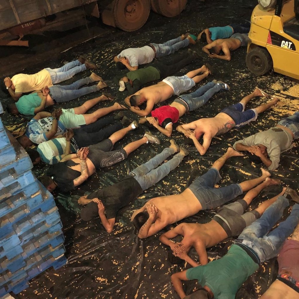 De acordo com a polícia, 19 pessoas foram presas na operação; Além da droga, foram apreendidos carros, dinheiro, celulares, caminhões e uma empilhadeira. — Foto: Polícia Federal/Divulgação
