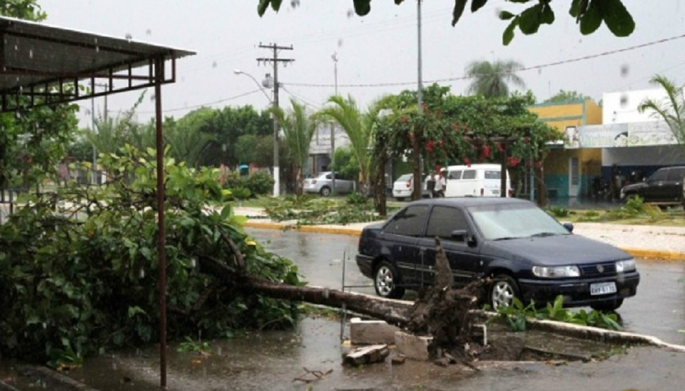 Força do vento arrancou árvores e deixou rastro de destruição na cidade pantaneira (Foto: Toninho Ruiz)